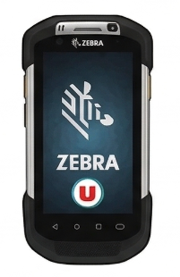 Terminal Zebra